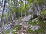 Planina Polog - Planina Dobrenjščica